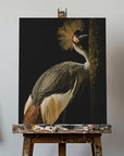 Canvas - Grey Crowned Crane - Admen.dk