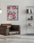 Poster - Scattered ranunculus in muted pink II
