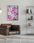 Plakat - Scattered ranunculus in pink II
