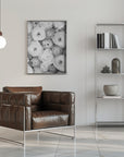 Plakat - Scattered ranunculus grayscale I