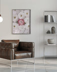 Plakat - Singular ranunculus in blush