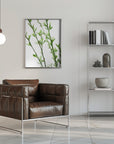 Plakat - Green dainty branch