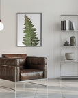 Poster - Green fern
