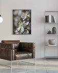 Plakat - Spring blooms I