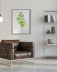 Plakat - Parsley II