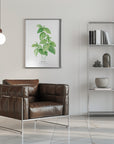 Poster - Basil I