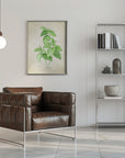 Plakat - Basil vintage