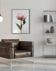 Poster - Pink peony II