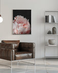 Plakat - Blush peony VIII
