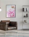 Poster - Pink peony IX