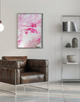Poster - Pink peony X