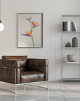 Plakat - Bird of paradise