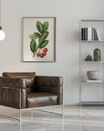 Poster - Botany Arbutus Unedo