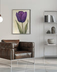 Poster - Purple Tulip 7