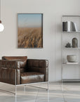 Plakat - Morning grass filelds 04 - Admen.dk