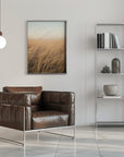 Plakat - Morning Grass Filelds 17 - Admen.dk