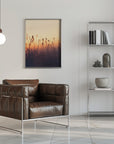 Plakat - Sunset Grass Filelds 05 - Admen.dk