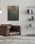 Plakat - Lavender - Admen.dk