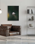 Plakat - White Flowers 17 - Admen.dk