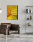 Plakat - Summer Flowers 42