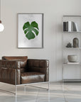 Plakat - Plants 3
