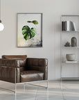 Poster - Plants 35