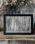 Plakat - Black and white