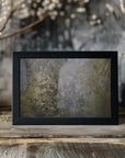 Plakat - Blossom