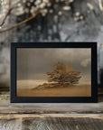 Plakat - Pine and dunes