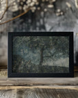 Plakat - Rocks and a tree