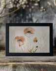 Plakat - Light and soft
