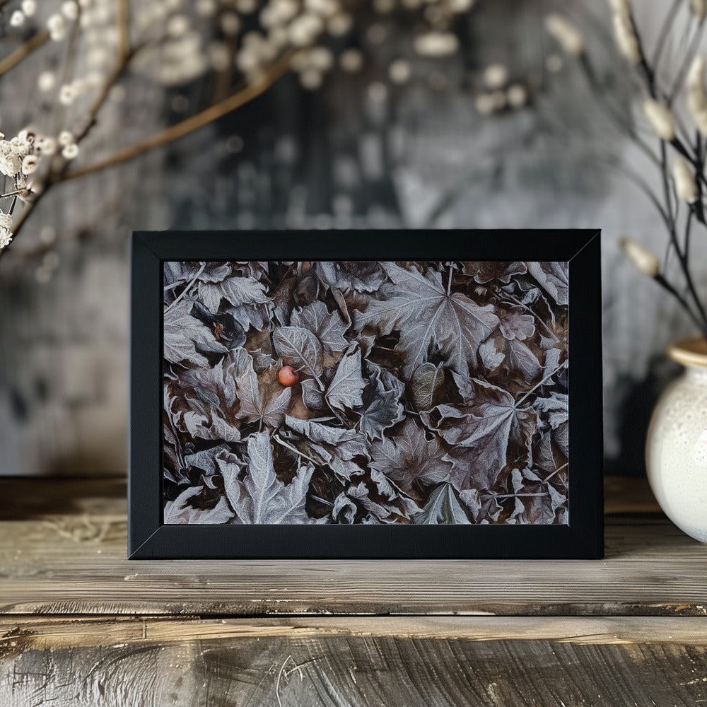 Plakat - Frozen leaves