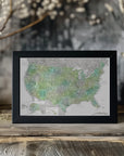 Poster - Highly detailed map of the United States, Oriole