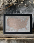 Poster - Highly detailed map of the United States, Lynette