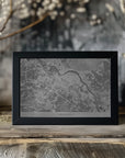 Poster - Gray vintage map of Dresden Germany