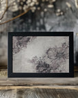Plakat - Pano Flower01xb Hl