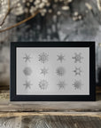 Plakat - Twelve geometric snowflakes in gray