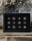 Poster - Twelve geometric snowflakes in black