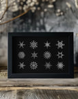 Plakat - Twelve geometric snowflakes in black