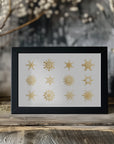 Plakat - Twelve geometric snowflakes in gold