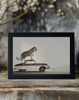 Poster - Tiger on a car roof