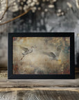 Plakat - Birds Wall Art 04