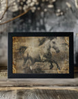 Plakat - Horse Vintage Art Illustration 12