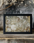 Plakat - Floral Vintage Art Illustration 02
