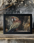Poster - Parrot Animal Vintage Art Illustration Wallart 07