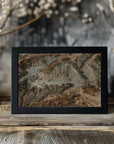 Plakat - Desert Patterns 04 - Admen.dk