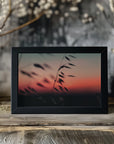 Plakat - Sunset Grass Fileld 02 - Admen.dk