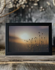 Plakat - Morning Grass Filelds 15 - Admen.dk