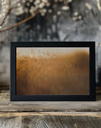 Plakat - Morning Grass Filelds 16 - Admen.dk