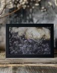 Plakat - Plants and Flowers 07 - Admen.dk